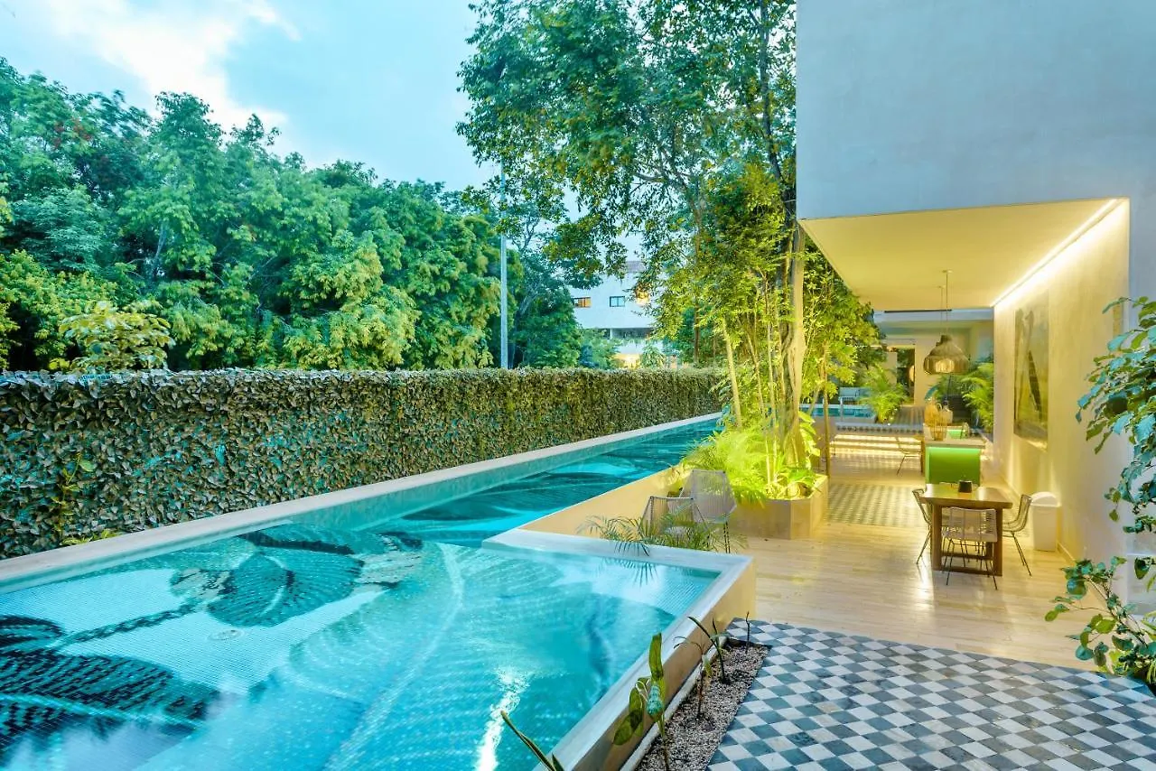 103 Cozy Apartment With Private Terrace 2 Bedroom 2 Ba Τουλούμ 0*,  Μεξικό